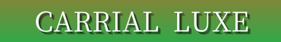 Carrial Luxe | Travel, Functional & Designer Bags | Luxury Handbags & Backpacks